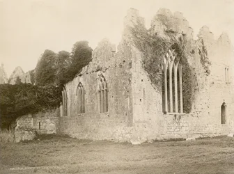 Askeaton Abbey